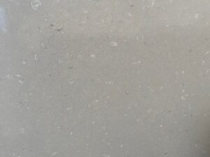 Grey Fossil