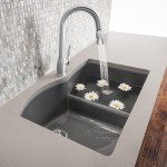 Kitchen Sink BLA 441591 DIAM 1 75 LOWD13A12