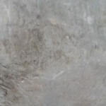 FL G DT21 1 SPC